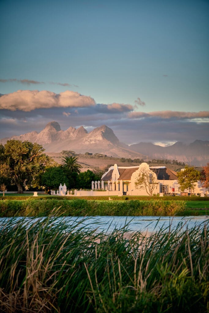domaine viticole du Cap vergenoegd loew stellenbosch 580